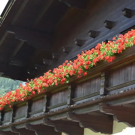 Daire Falkner Dorli *