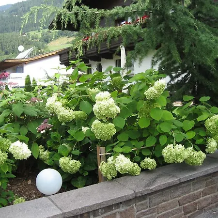 Falkner Dorli Διαμέρισμα *