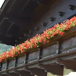 Appartement Falkner Dorli *